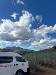 WhatsApp Image 2025-02-14 at 10.06.15 AM (1)